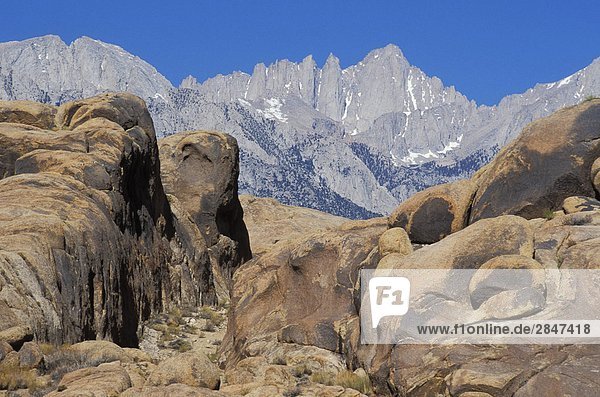 USA  California  Mt. Whitney  highest mountain in lower 48 states  from Alabama Hills  Owens Valley