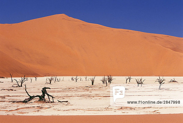 Sand umgeben Namibia Namib zerreißen Düne Afrika Lehm Dead Vlei