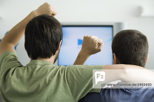 Zwei Männer beim Fernsehen  Fäuste in die Luft erhoben  Rückansicht