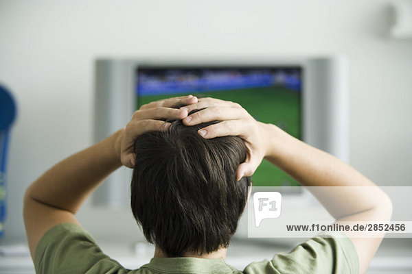 Mann beim Fernsehen  beide Hände am Kopf  Rückansicht