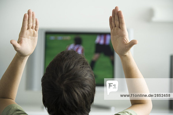 Sportmatch im Fernsehen  Hände in die Luft gehoben  Rückansicht