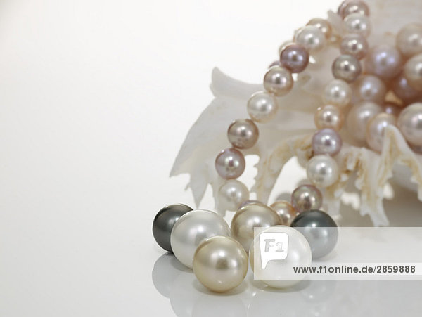 Perlenkette und Perlen mit Nautilus
