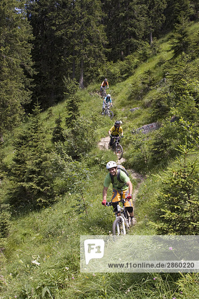 Four men mountain biking on forest track