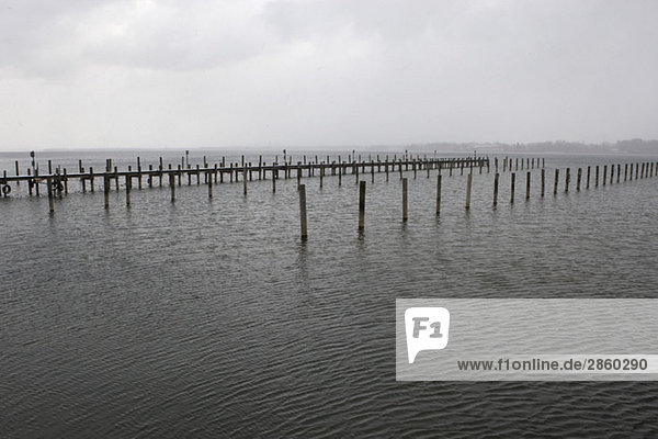 Germany  Bavaria  Prien  Lake Chiemsee  Wooden poles in water