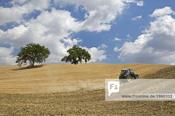 Italy  Tuscany  Tractor on corn field