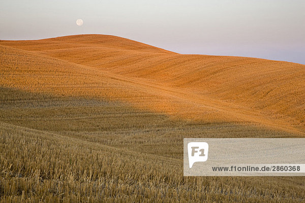 Italy,  Tuscany,  Full moon over harvested fields