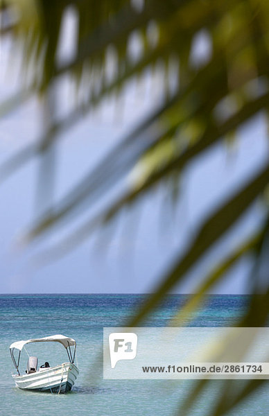 Grenada Saint George´s Morne Rouge Beach Motorboat in the Caribbean Sea