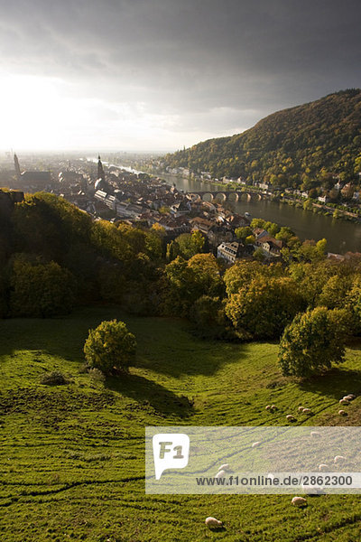 Deutschland  Baden-Württemberg  Blick über die Stadt mit dem Necker