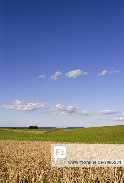 Österreich  Salzkammergut  Irrsee  Landschaft  blauer Himmel und Wolken