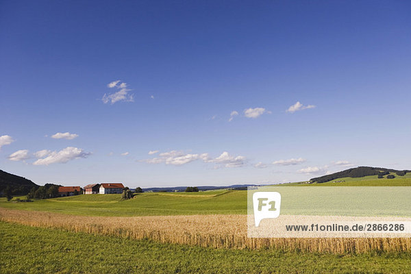 Österreich  Salzkammergut  Irrsee  Landschaft  blauer Himmel und Wolken