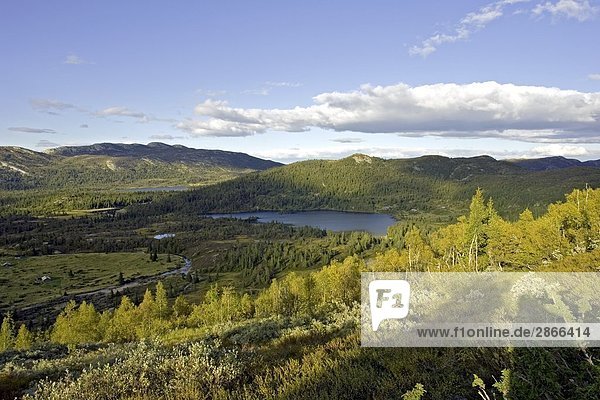 Panoramische Ansicht der Landschaft  Lifjell  Zündkapseln Tal  Telemark  Norwegen