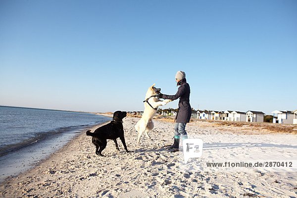 Eine Frau mit zwei Hunde auf einem Strand Schweden.