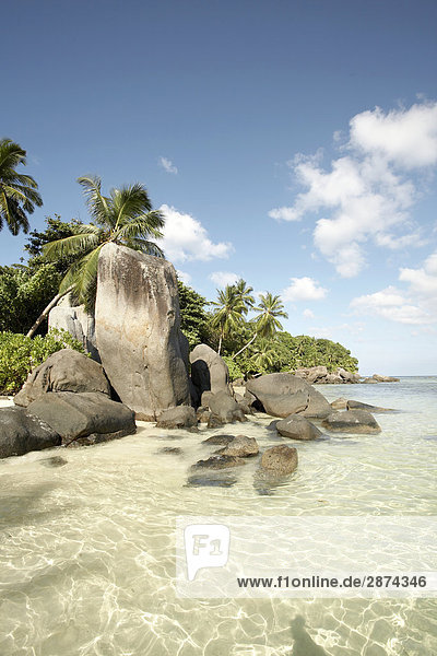 Boulders and palm trees on beach Seychelles
