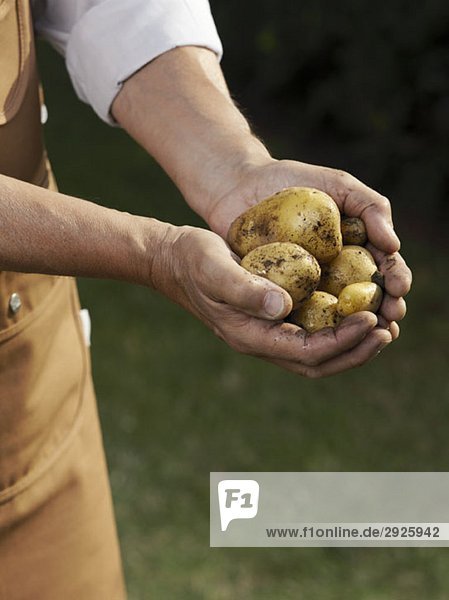 Midsection of a man with a handful of potatoes