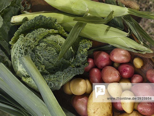 Selection of fresh vegetables