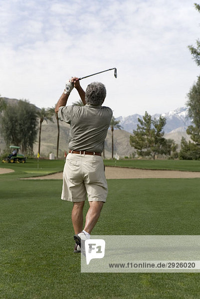 Rear view of a man playing golf  Palm Springs  California  USA