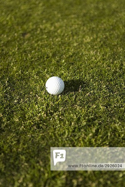 Ein Golfball auf Rasen