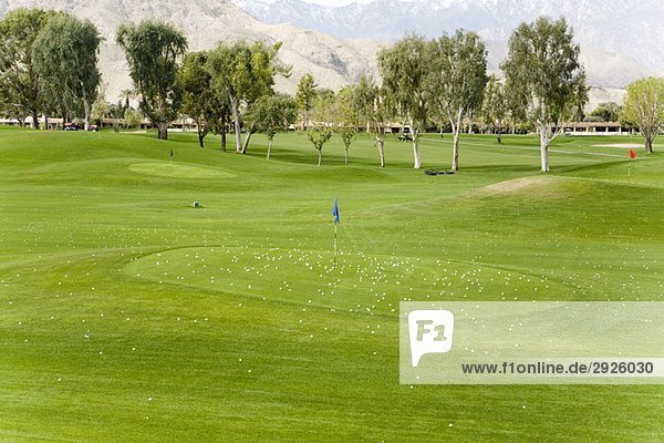 Golfbälle auf und um ein Putting Green  Palm Springs  Kalifornien  USA
