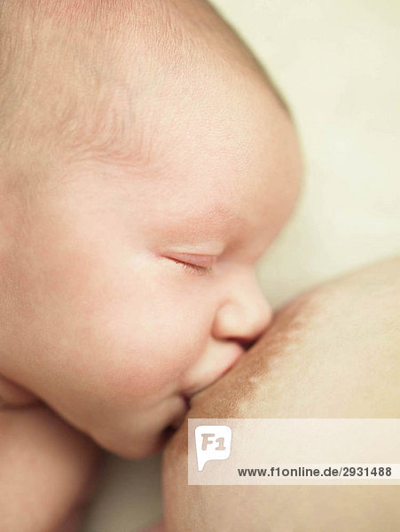 Baby feeding on breast