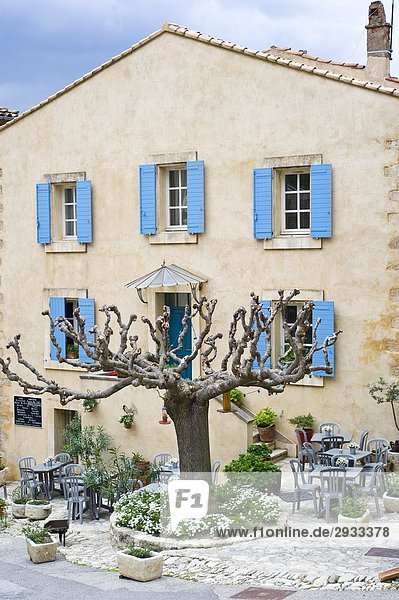 Haus mit Baum  Provence - Alpes-Cote d Azur  Frankreich