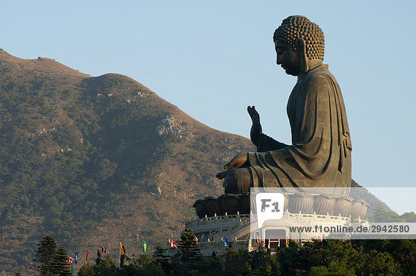 Buddha  Hongkong  China