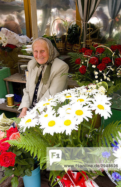 Elderly woman selling flowers at market  Lviv  Ukraine
