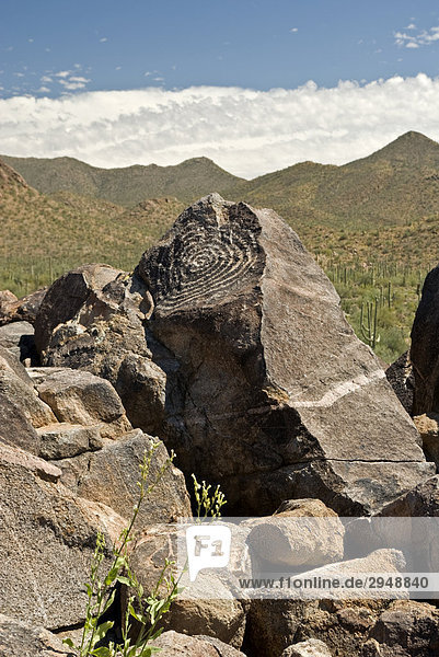 'Signal Hill Petroglyph  Saguaro National Park West  Tucson  Arizona