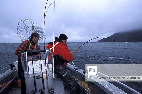 Man versucht  Spulen  im Pazifik Chinook Lachs  Queen Charlotte Islands  British Columbia