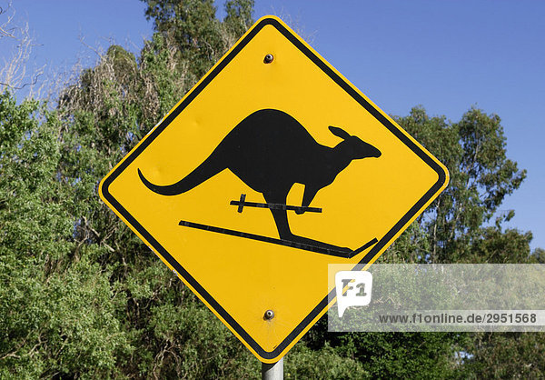 Kangaroo on skis  traffic sign  signpost  altered by a prankster  Bendigo  Victoria  Australia