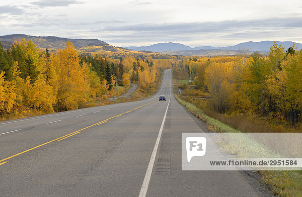 Autumn landscape on Highway 16 near Forestdale  British Columbia  Canada  North America