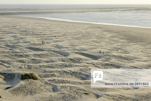 Sanddünen an der Pazifikküste bei Newport  Oregon  USA