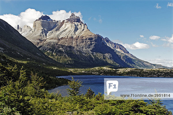 Nordenskjöld See und Gipfel der Cuernos  Torres del Paine Nationalpark  Patagonien  Chile  Südamerika