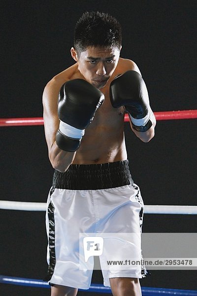 Japanischer Boxer bereit zu kämpfen
