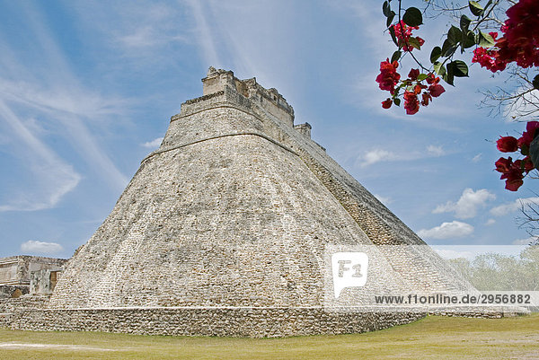 The biggest and impressived Maya scene Uxmal Mexico