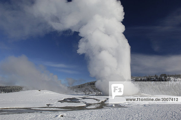 10850938  Usa  Wyoming  Old Faithful Geyser  Eruption  Snow  Yellowstone National Park  Winter  Volcanic  Volcanism  Nature  Landscape  Scenery  Blue Sky  Steam  United States of America