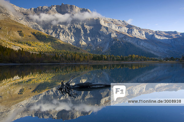 Lac de Derborence  Switzerland  Canton of Valais  lake  mountain lake  reflection  mountain  mountains  alps  alpine  landscape  scenery  wood  forest  clouds  autumn  fall  root  trunk
