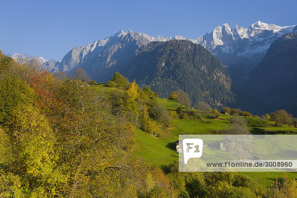 Landschaftlich schön landschaftlich reizvoll Pferdestall Berg Baum Landschaft Alpen Herbst Kanton Graubünden Soglio Schweiz