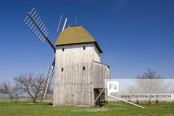 Windmühle von 1870 in Stary Poddvorov  Hodonin-Distrikt  Süd-Mähren  Tschechische Republik  Europa