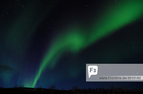 Nordlicht (Aurora borealis)  Norwegen  Skandinavien