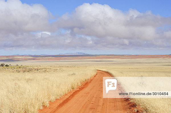 Farmstraße zur Namtib Gästefarm vor der Namib  Namibia  Afrika