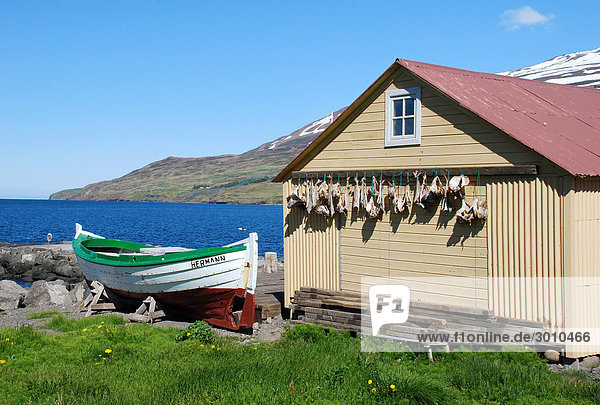 Fischerboot neben einem Haus an dem Fisch trocknet  Grenivik  Island