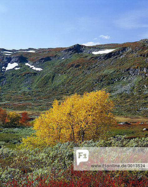 Herbst Landschaft Norwegen.