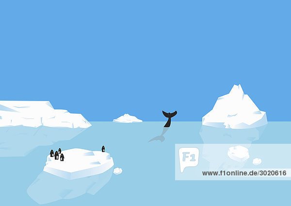 Penguins standing on iceberg  whale diving in distance