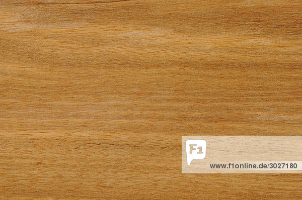 Holzoberfläche  Arariba Holz (Leguminosae Papilonatae) Vollrahmen