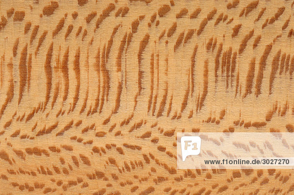 Holzoberfläche  europäischer Hobel (Platanus hispanica) Vollrahmen