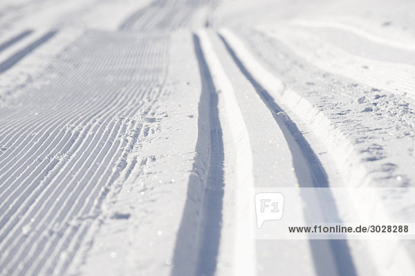 Austria  Tyrol  Seefeld  Wildmoosalm  Ski Tracks in snow  full frame