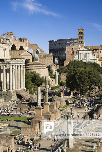 Italy  Rome  Roman Forum and tourists