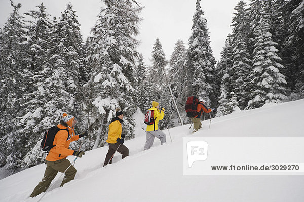 Italien  Südtirol  Menschen in Winterkleidung wandern bergauf