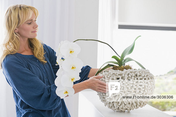 Frau beim Betrachten einer Zimmerpflanze