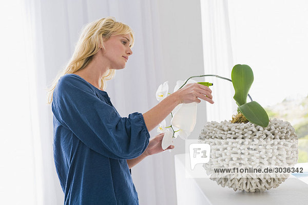 Frau beim Betrachten einer Zimmerpflanze